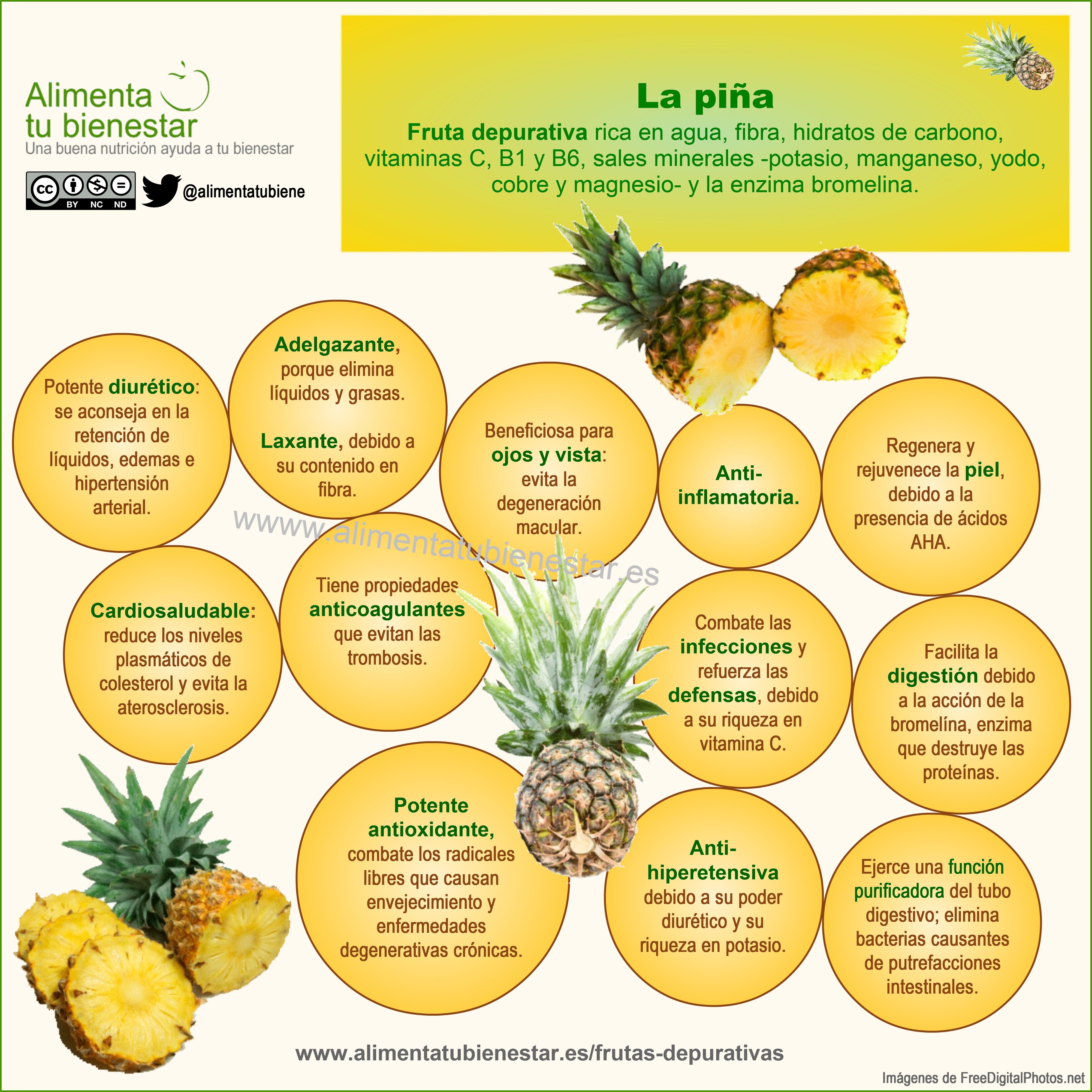 ¿Cuáles Son Las Vitaminas Y Minerales De La Piña – AWBOZ